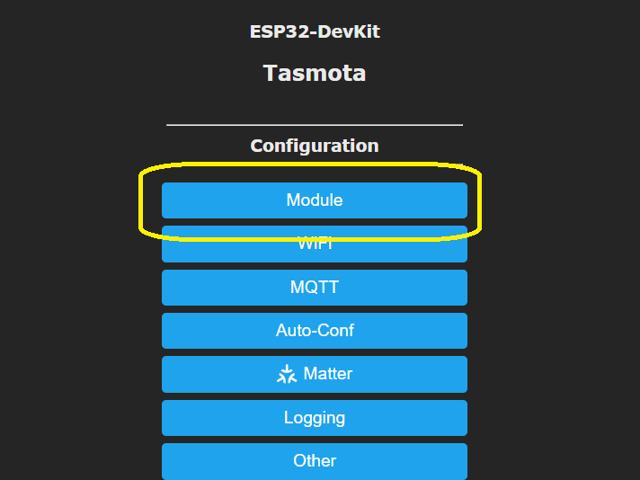 Tasmota Modul Auswahl